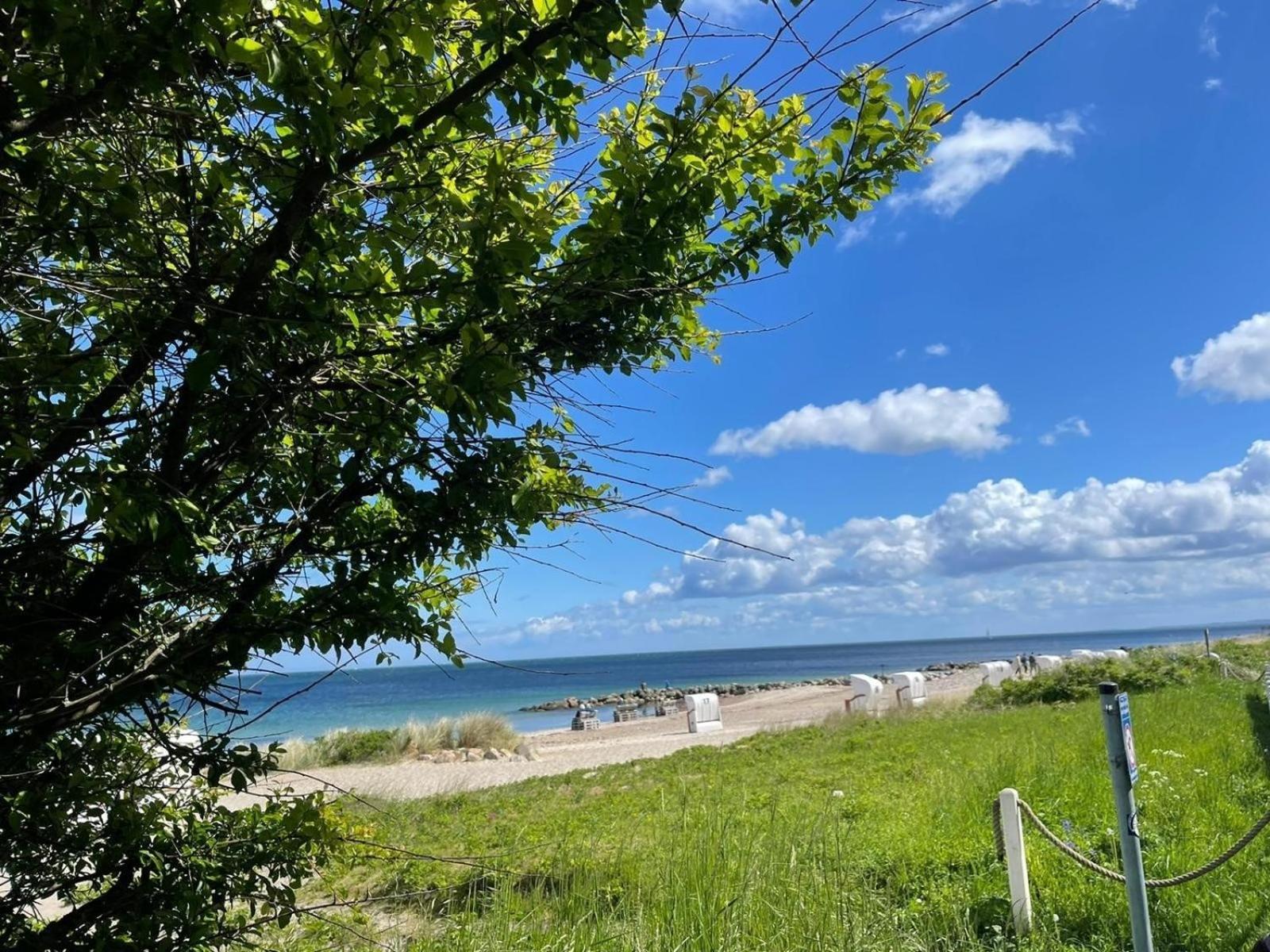 Ferien Am Strand, Urlaub An Der Ostsee Ferienwohnung Am Strand In Der Naehe Der Schlei, Umgebung Von Kappeln U Damp Brodersby-Goltoft 외부 사진
